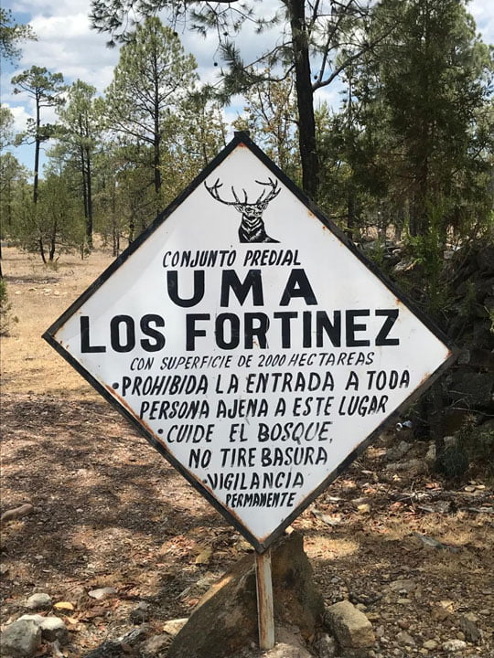 Los-Fortinez (2)