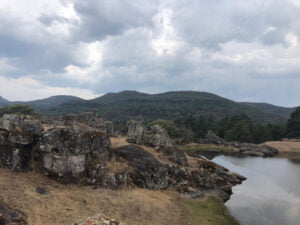 Los-Fortinez (41)